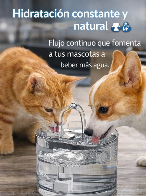 Fuente de agua para mascotas